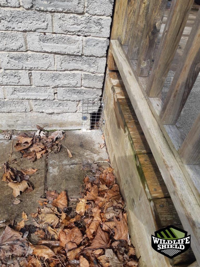 newmarket crawlspace overview inspection 07 newmarket crawlspace overview inspection 07