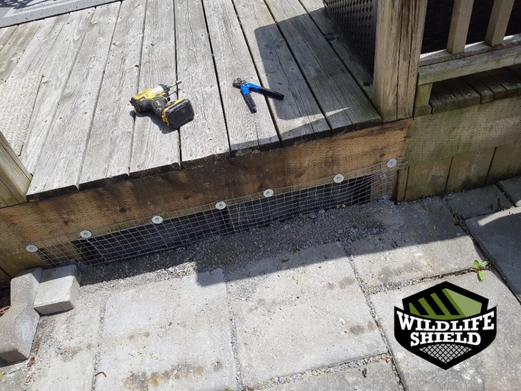 newmarket deck exclusion ,mesh after 08 newmarket deck exclusion ,mesh after 08