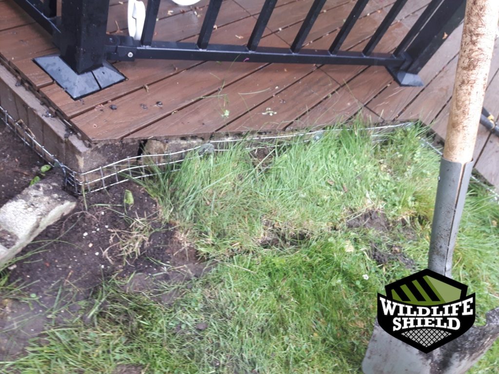 newmarket deck exclusion ,mesh install 04 newmarket deck exclusion ,mesh install 04