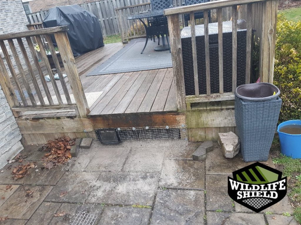 newmarket deck exclusion ,mesh install 05 newmarket deck exclusion ,mesh install 05