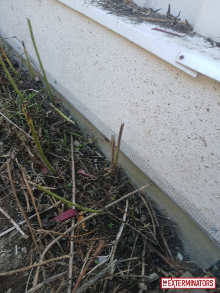 newmarket deck overview inspection 06 newmarket deck overview inspection 06