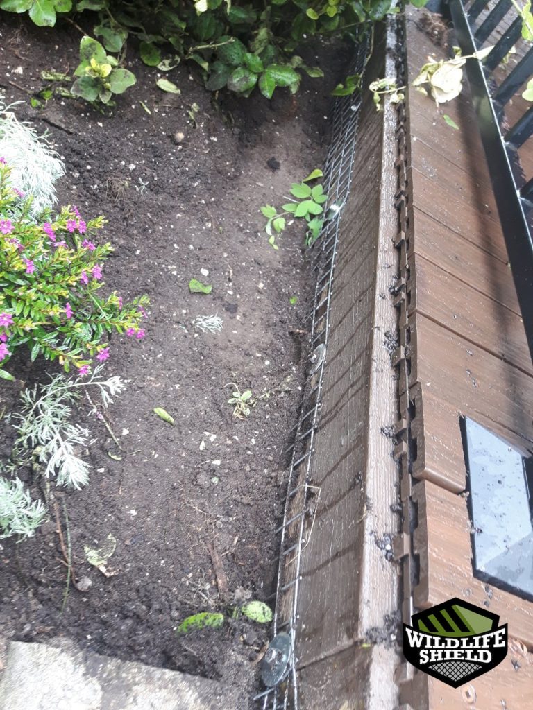 newmarket foundation exclusion ,mesh install 05 newmarket foundation exclusion ,mesh install 05