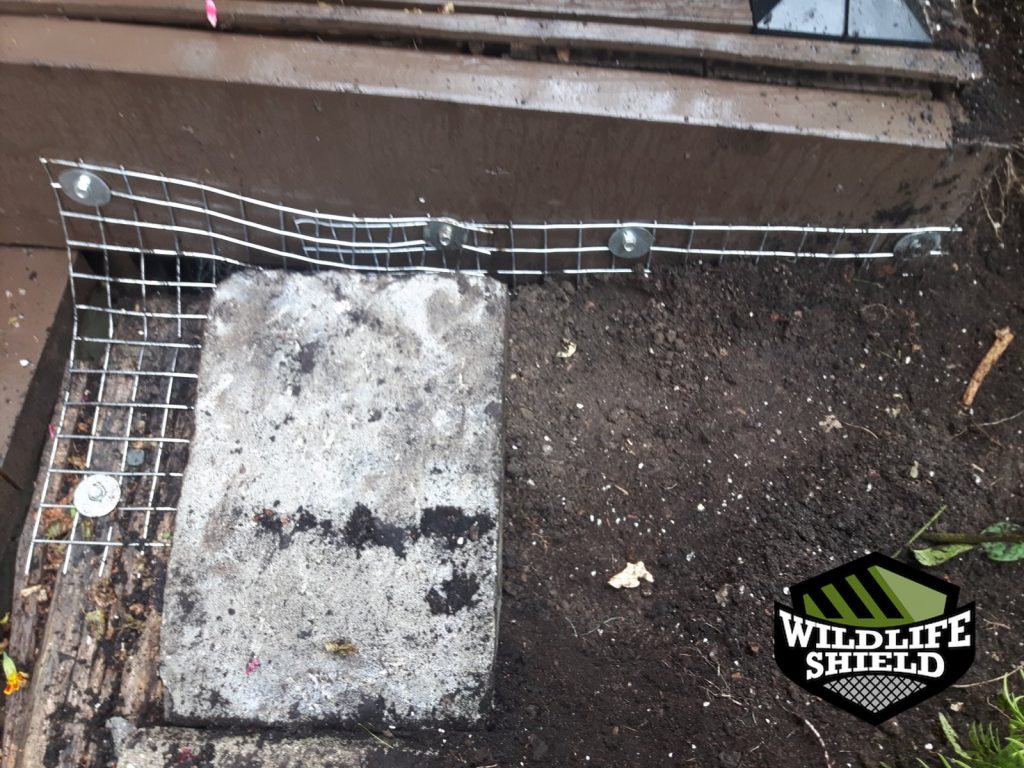 newmarket foundation exclusion ,mesh install 06 newmarket foundation exclusion ,mesh install 06