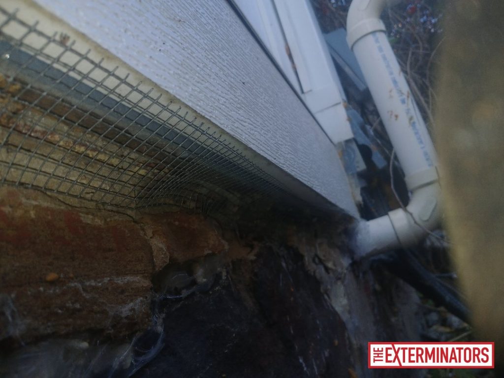 newmarket foundation screening install 01 newmarket foundation screening install 01