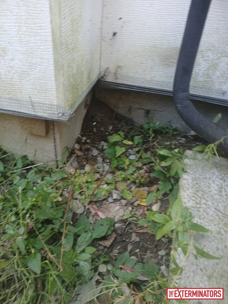 newmarket foundation screening install 07 newmarket foundation screening install 07