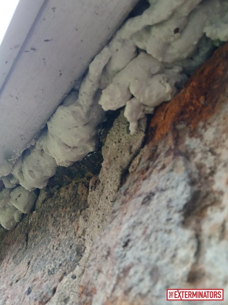 newmarket foundation sealant install 02 newmarket foundation sealant install 02