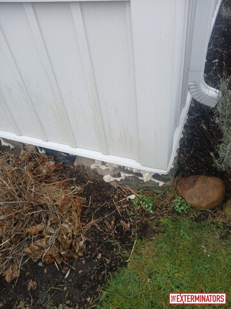 newmarket foundation sealant install 04 newmarket foundation sealant install 04