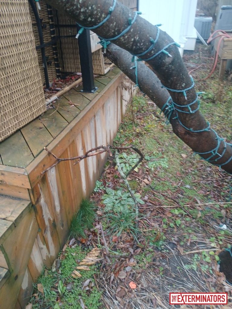 newmarket siding gap opening before 05 newmarket siding gap opening before 05