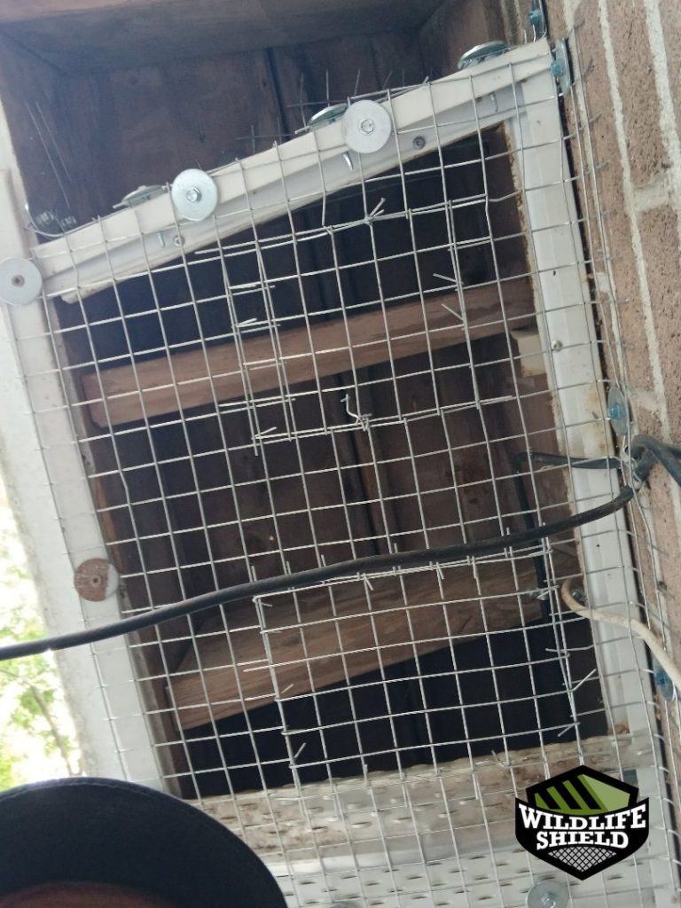 newmarket wall vent screening after 04 newmarket wall vent screening after 04