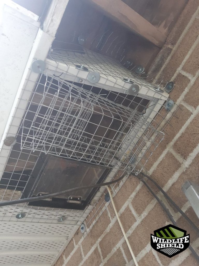 newmarket wall vent screening install 03 newmarket wall vent screening install 03