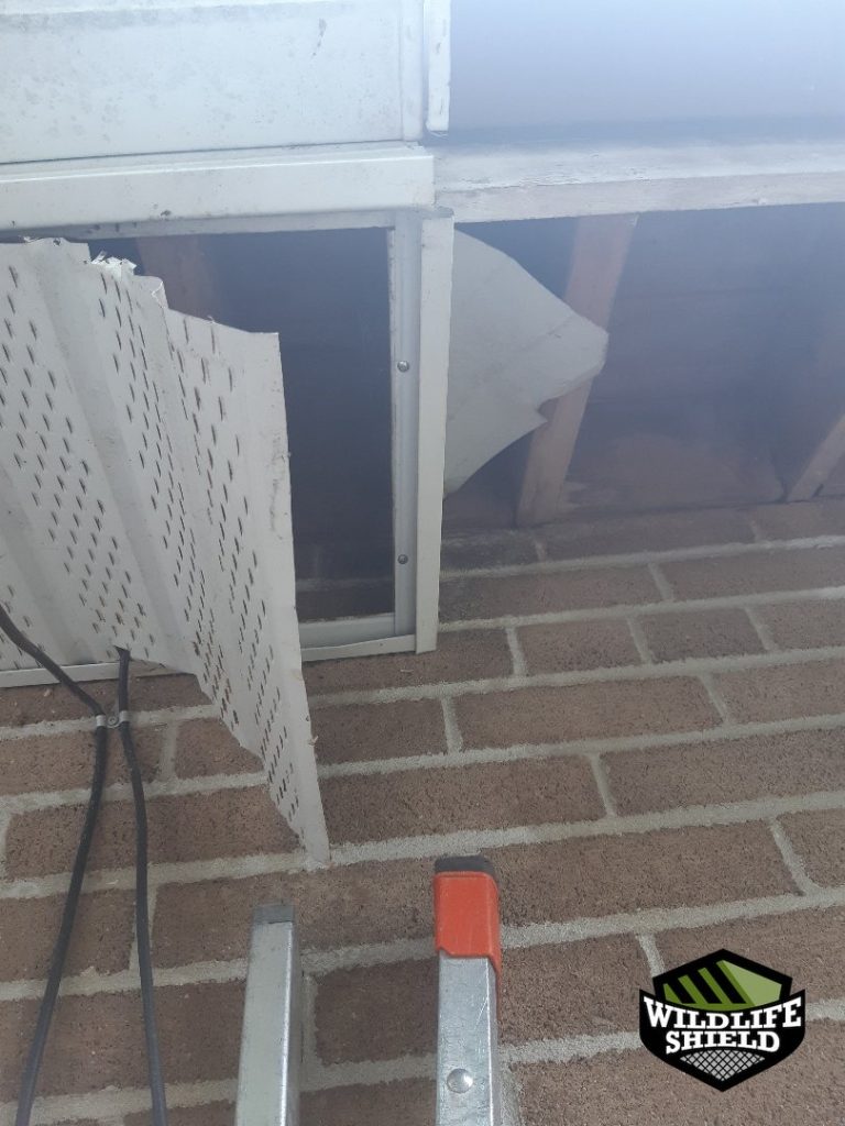 newmarket exterior structural damage before 02