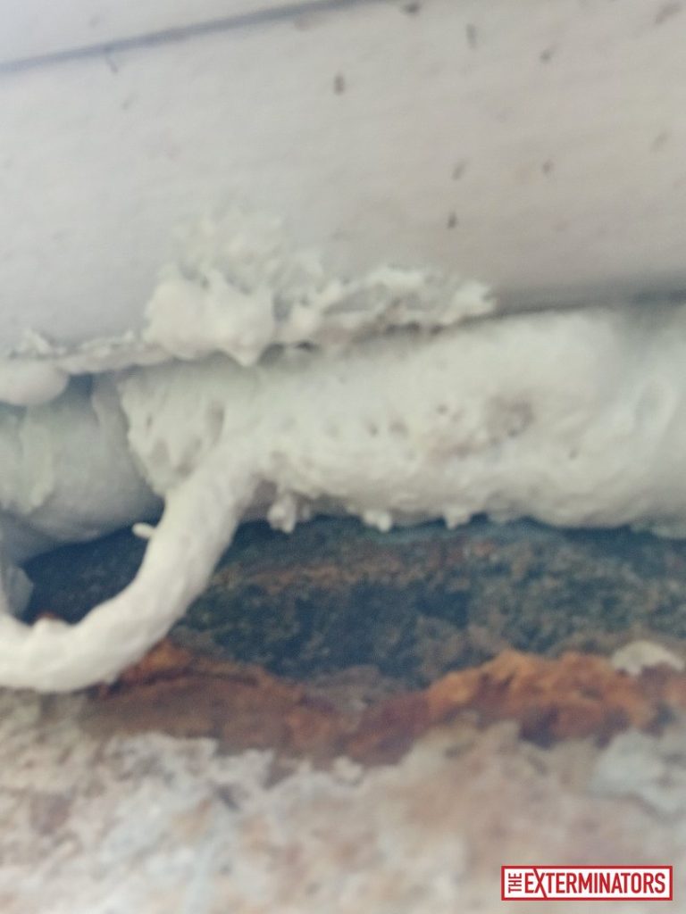 newmarket foundation sealant install 03