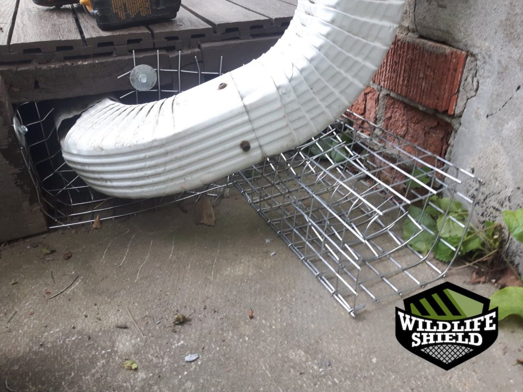 newmarket wall vent exclusion ,mesh install 02